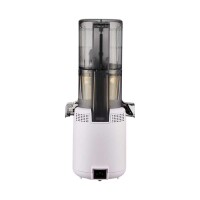 Hurom Juicer H310A-BEC04PL Purple
