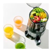 Hurom Juicer H70ST-BES02TG TITAN