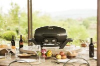 Napoleon PRO285-BK TRAVELQ PRO285 mobiler Gasgrill